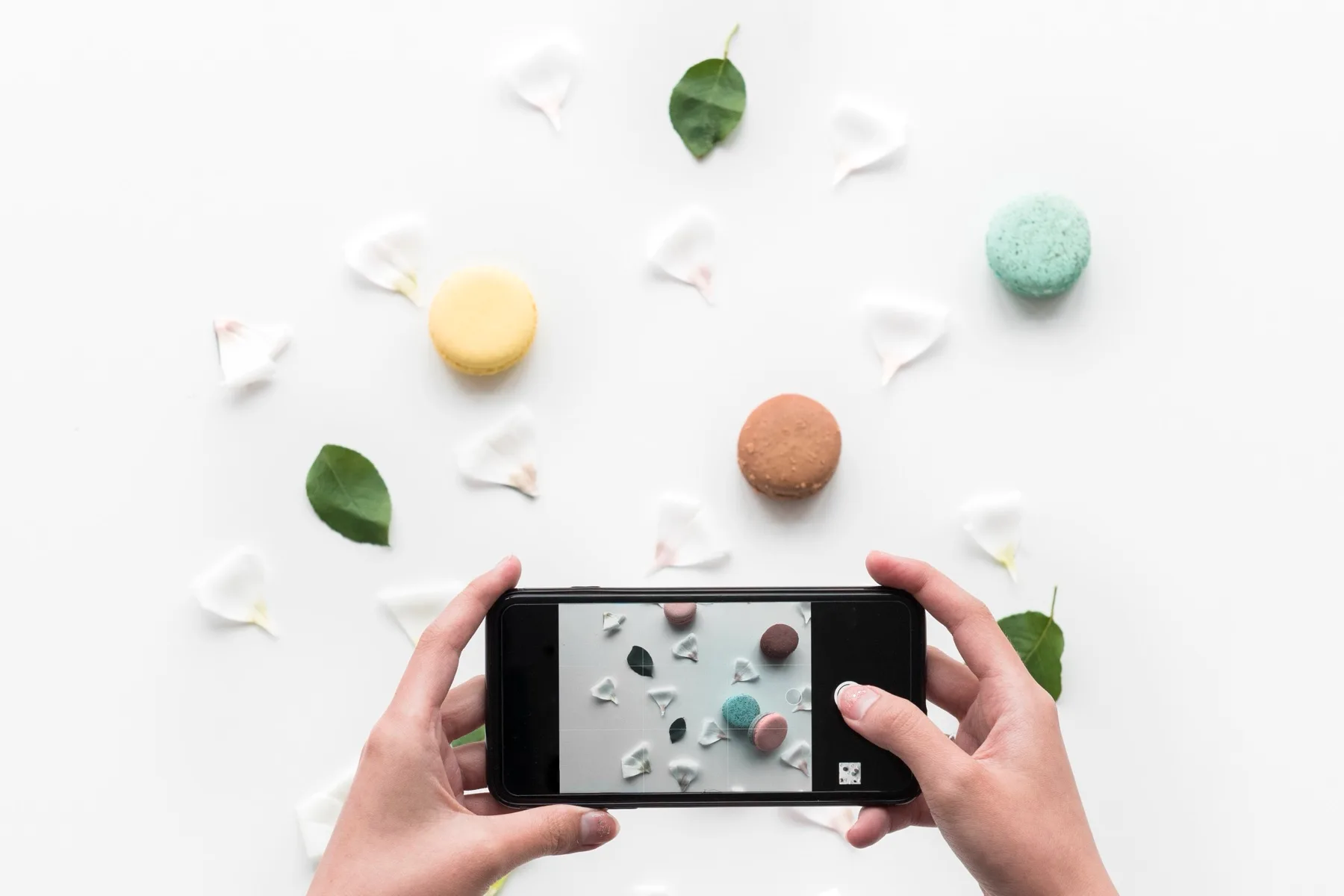 Hands photographing a flat lay of macarons and petals with a smartphone for a product post