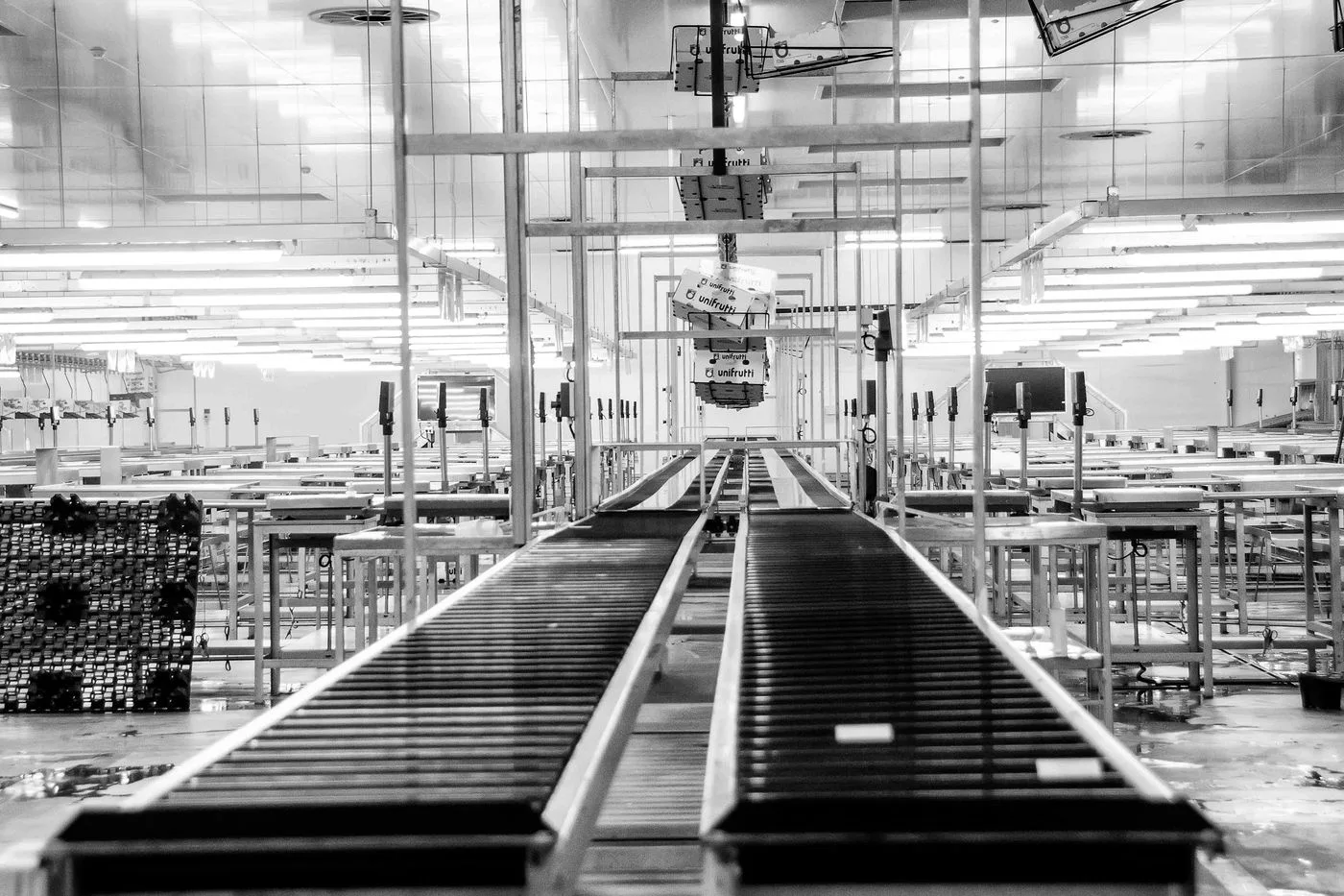 Modern conveyor system in a monochrome industrial factory setting in Redelinghuys, South Africa