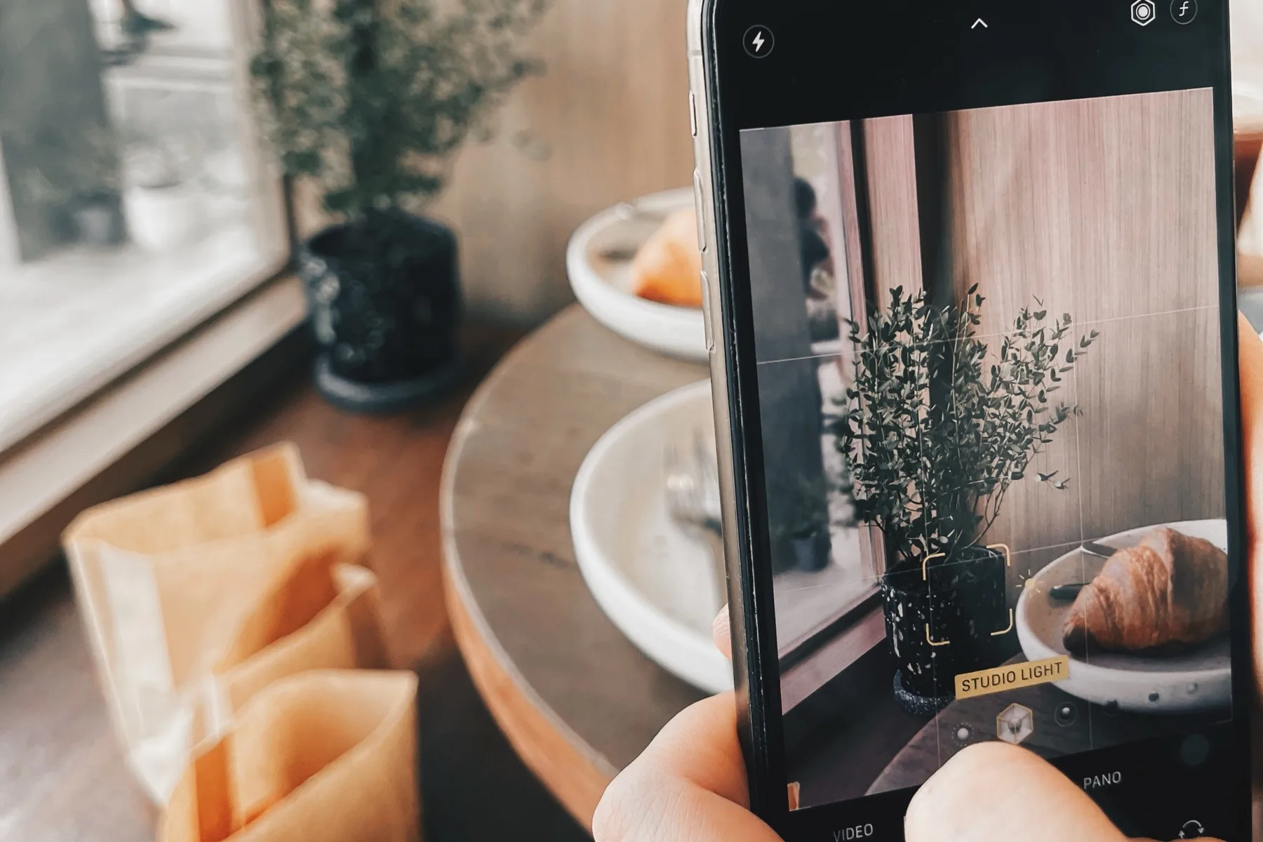 Hand holding a phone at a cafe table, framing a shot of a croissant and potted plant for an Instagram post